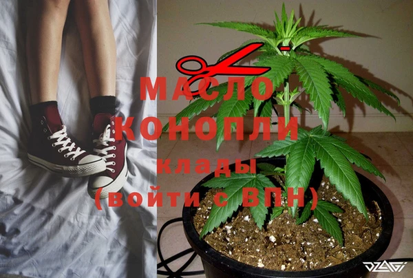 индика Абинск
