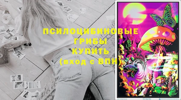 индика Абинск