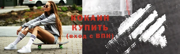 индика Абинск