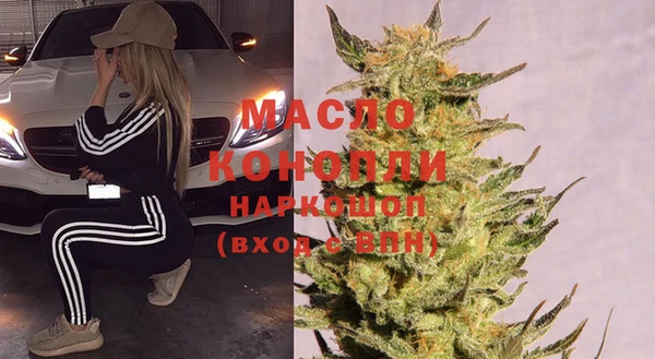 индика Абинск
