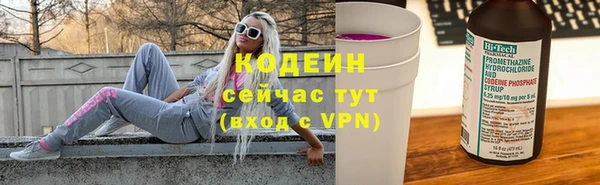 индика Абинск